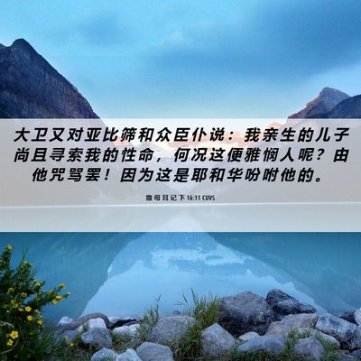 Picture 06 - 撒 母 耳 记 下 16:11 CUVS - 大 卫 又 对 亚 比 筛 和 众 臣 仆 说 - Bible Verse Picture