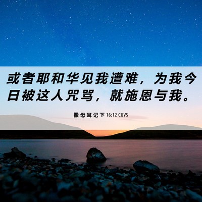 Picture 06 - 撒 母 耳 记 下 16:12 CUVS - 或 者 耶 和 华 见 我 遭 难 ， 为 我 - Bible Verse Picture
