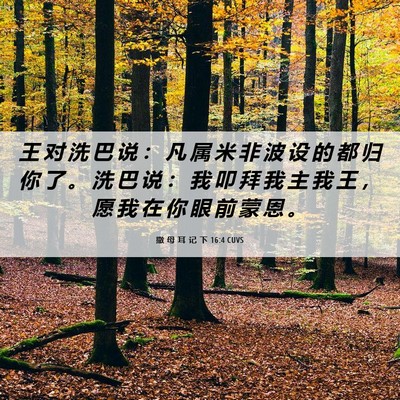 Picture 06 - 撒 母 耳 记 下 16:4 CUVS - 王 对 洗 巴 说 ： 凡 属 米 非 波 设 - Bible Verse Picture