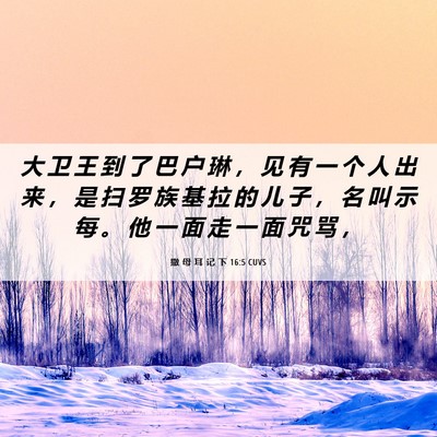 Picture 06 - 撒 母 耳 记 下 16:5 CUVS - 大 卫 王 到 了 巴 户 琳 ， 见 有 一 - Bible Verse Picture
