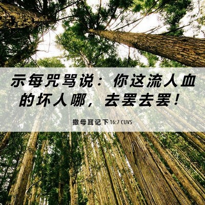 Picture 06 - 撒 母 耳 记 下 16:7 CUVS - 示 每 咒 骂 说 ： 你 这 流 人 血 的 - Bible Verse Picture