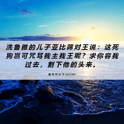 Picture 06 - 撒 母 耳 记 下 16:9 CUVS - 洗 鲁 雅 的 儿 子 亚 比 筛 对 王 说 - Bible Verse Picture