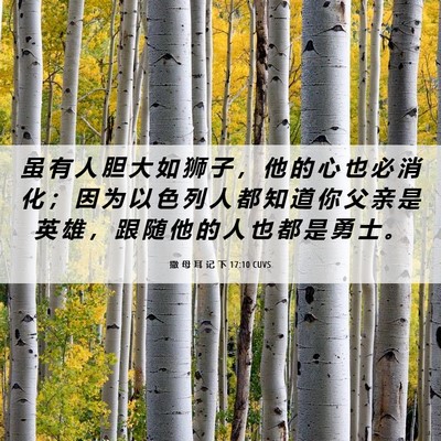 Picture 06 - 撒 母 耳 记 下 17:10 CUVS - 虽 有 人 胆 大 如 狮 子 ， 他 的 心 - Bible Verse Picture
