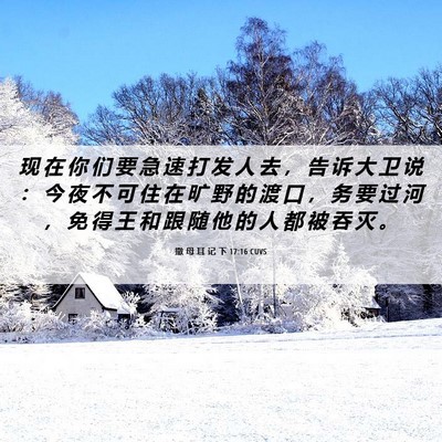 Picture 06 - 撒 母 耳 记 下 17:16 CUVS - 现 在 你 们 要 急 速 打 发 人 去 ， - Bible Verse Picture