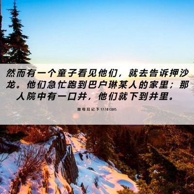 Picture 06 - 撒 母 耳 记 下 17:18 CUVS - 然 而 有 一 个 童 子 看 见 他 们 ， - Bible Verse Picture