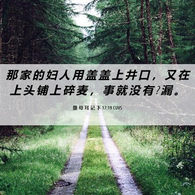 Picture 06 - 撒 母 耳 记 下 17:19 CUVS - 那 家 的 妇 人 用 盖 盖 上 井 口 ， - Bible Verse Picture