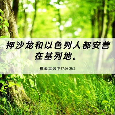 Picture 06 - 撒 母 耳 记 下 17:26 CUVS - 押 沙 龙 和 以 色 列 人 都 安 营 在 - Bible Verse Picture