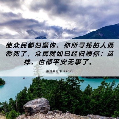 Picture 06 - 撒 母 耳 记 下 17:3 CUVS - 使 众 民 都 归 顺 你 。 你 所 寻 找 - Bible Verse Picture