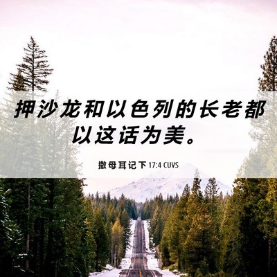 Picture 06 - 撒 母 耳 记 下 17:4 CUVS - 押 沙 龙 和 以 色 列 的 长 老 都 以 - Bible Verse Picture