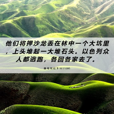 Picture 06 - 撒 母 耳 记 下 18:17 CUVS - 他 们 将 押 沙 龙 丢 在 林 中 一 个 - Bible Verse Picture