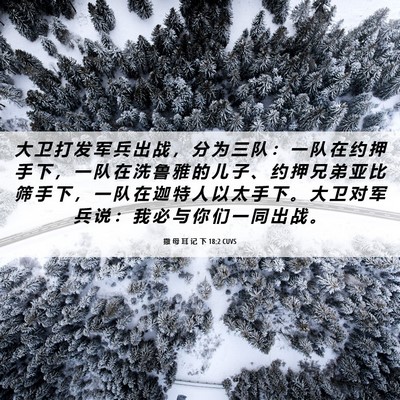 Picture 06 - 撒 母 耳 记 下 18:2 CUVS - 大 卫 打 发 军 兵 出 战 ， 分 为 三 - Bible Verse Picture