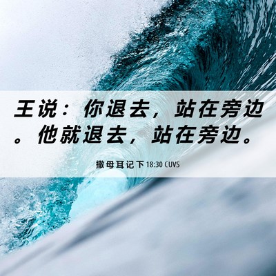 Picture 06 - 撒 母 耳 记 下 18:30 CUVS - 王 说 ： 你 退 去 ， 站 在 旁 边 。 - Bible Verse Picture