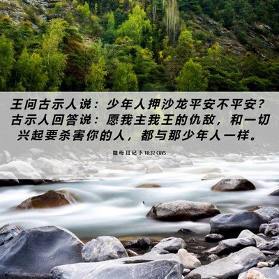 Picture 06 - 撒 母 耳 记 下 18:32 CUVS - 王 问 古 示 人 说 ： 少 年 人 押 沙 - Bible Verse Picture