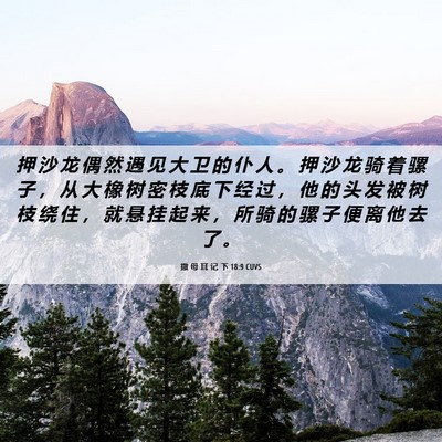 Picture 06 - 撒 母 耳 记 下 18:9 CUVS - 押 沙 龙 偶 然 遇 见 大 卫 的 仆 人 - Bible Verse Picture