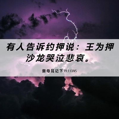 Picture 06 - 撒 母 耳 记 下 19:1 CUVS - 有 人 告 诉 约 押 说 ： 王 为 押 沙 - Bible Verse Picture