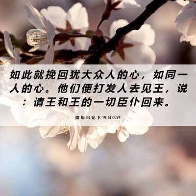 Picture 06 - 撒 母 耳 记 下 19:14 CUVS - 如 此 就 挽 回 犹 大 众 人 的 心 ， - Bible Verse Picture