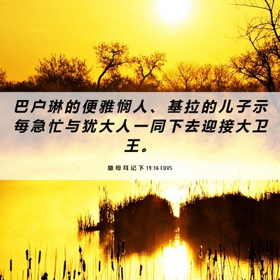 Picture 06 - 撒 母 耳 记 下 19:16 CUVS - 巴 户 琳 的 便 雅 悯 人 、 基 拉 的 - Bible Verse Picture