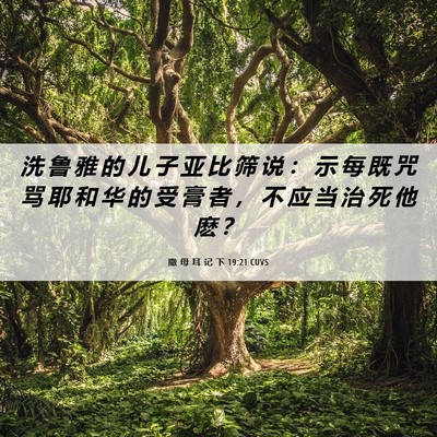 Picture 06 - 撒 母 耳 记 下 19:21 CUVS - 洗 鲁 雅 的 儿 子 亚 比 筛 说 ： 示 - Bible Verse Picture