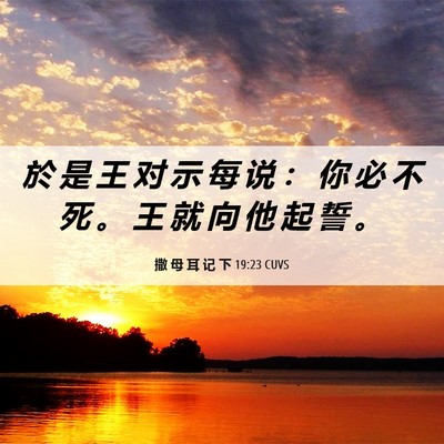 Picture 06 - 撒 母 耳 记 下 19:23 CUVS - 於 是 王 对 示 每 说 ： 你 必 不 死 - Bible Verse Picture