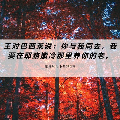 Picture 06 - 撒 母 耳 记 下 19:33 CUVS - 王 对 巴 西 莱 说 ： 你 与 我 同 去 - Bible Verse Picture