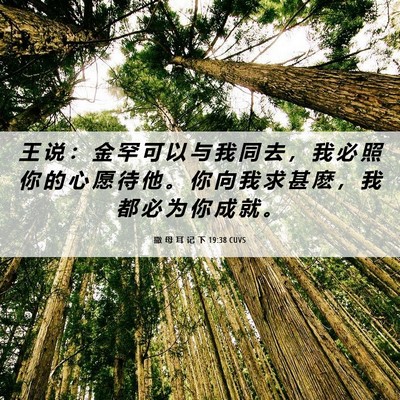 Picture 06 - 撒 母 耳 记 下 19:38 CUVS - 王 说 ： 金 罕 可 以 与 我 同 去 ， - Bible Verse Picture