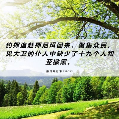 Picture 06 - 撒 母 耳 记 下 2:30 CUVS - 约 押 追 赶 押 尼 珥 回 来 ， 聚 集 - Bible Verse Picture