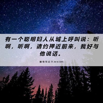 Picture 06 - 撒 母 耳 记 下 20:16 CUVS - 有 一 个 聪 明 妇 人 从 城 上 呼 叫 - Bible Verse Picture