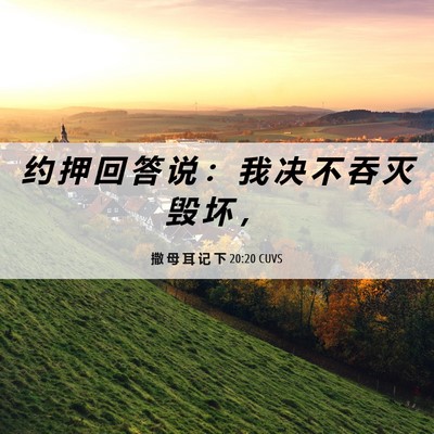 Picture 06 - 撒 母 耳 记 下 20:20 CUVS - 约 押 回 答 说 ： 我 决 不 吞 灭 毁 - Bible Verse Picture