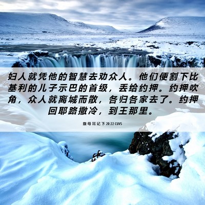 Picture 06 - 撒 母 耳 记 下 20:22 CUVS - 妇 人 就 凭 他 的 智 慧 去 劝 众 人 - Bible Verse Picture