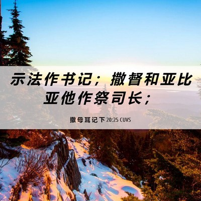 Picture 06 - 撒 母 耳 记 下 20:25 CUVS - 示 法 作 书 记 ； 撒 督 和 亚 比 亚 - Bible Verse Picture