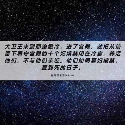 Picture 06 - 撒 母 耳 记 下 20:3 CUVS - 大 卫 王 来 到 耶 路 撒 冷 ， 进 了 - Bible Verse Picture