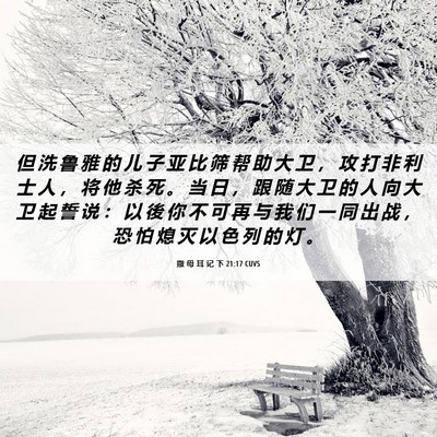 Picture 06 - 撒 母 耳 记 下 21:17 CUVS - 但 洗 鲁 雅 的 儿 子 亚 比 筛 帮 助 - Bible Verse Picture