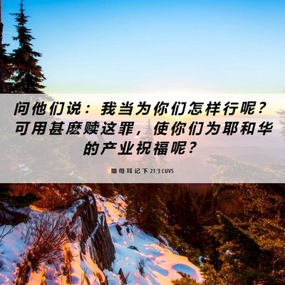 Picture 06 - 撒 母 耳 记 下 21:3 CUVS - 问 他 们 说 ： 我 当 为 你 们 怎 样 - Bible Verse Picture