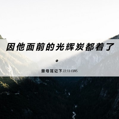 Picture 06 - 撒 母 耳 记 下 22:13 CUVS - 因 他 面 前 的 光 辉 炭 都 着 了 - Bible Verse Picture