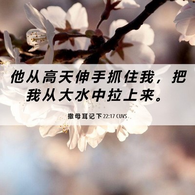 Picture 06 - 撒 母 耳 记 下 22:17 CUVS - 他 从 高 天 伸 手 抓 住 我 ， 把 我 - Bible Verse Picture