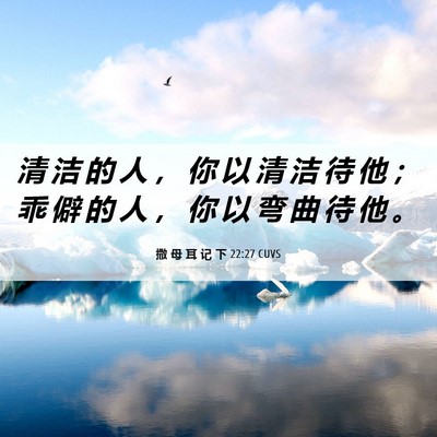 Picture 06 - 撒 母 耳 记 下 22:27 CUVS - 清 洁 的 人 ， 你 以 清 洁 待 他 ； - Bible Verse Picture