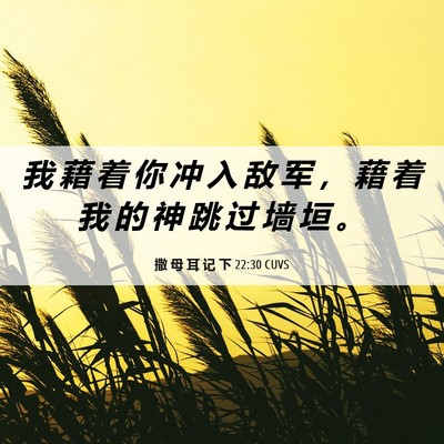 Picture 06 - 撒 母 耳 记 下 22:30 CUVS - 我 藉 着 你 冲 入 敌 军 ， 藉 着 我 - Bible Verse Picture