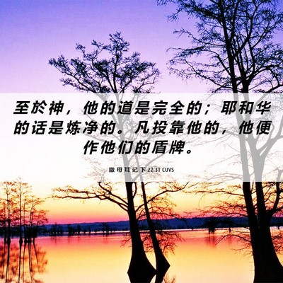 Picture 06 - 撒 母 耳 记 下 22:31 CUVS - 至 於 神 ， 他 的 道 是 完 全 的 ； - Bible Verse Picture