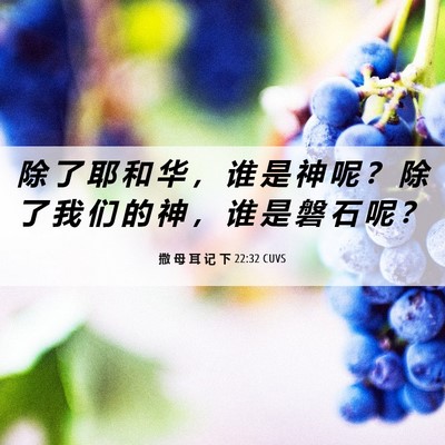 Picture 06 - 撒 母 耳 记 下 22:32 CUVS - 除 了 耶 和 华 ， 谁 是 神 呢 ？ 除 - Bible Verse Picture