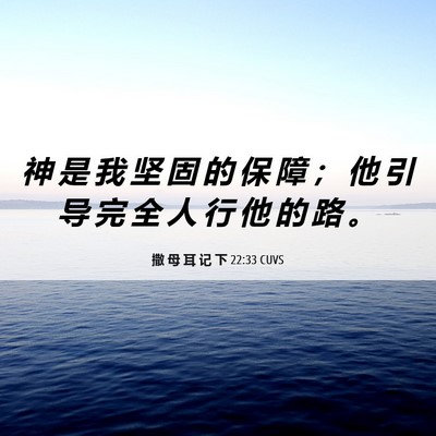 Picture 06 - 撒 母 耳 记 下 22:33 CUVS - 神 是 我 坚 固 的 保 障 ； 他 引 导 - Bible Verse Picture