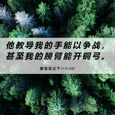 Picture 06 - 撒 母 耳 记 下 22:35 CUVS - 他 教 导 我 的 手 能 以 争 战 ， 甚 - Bible Verse Picture