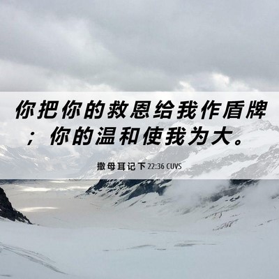 Picture 06 - 撒 母 耳 记 下 22:36 CUVS - 你 把 你 的 救 恩 给 我 作 盾 牌 ； - Bible Verse Picture