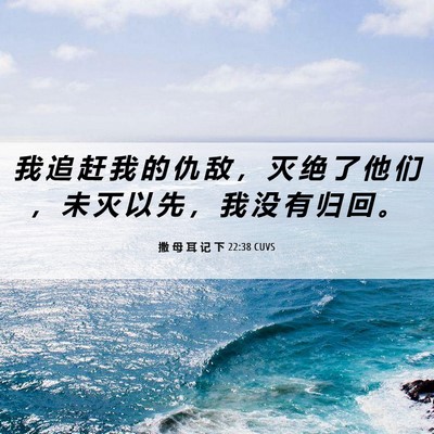 Picture 06 - 撒 母 耳 记 下 22:38 CUVS - 我 追 赶 我 的 仇 敌 ， 灭 绝 了 他 - Bible Verse Picture