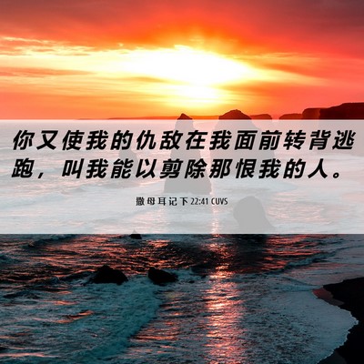 Picture 06 - 撒 母 耳 记 下 22:41 CUVS - 你 又 使 我 的 仇 敌 在 我 面 前 转 - Bible Verse Picture