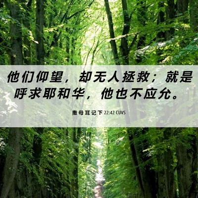 Picture 06 - 撒 母 耳 记 下 22:42 CUVS - 他 们 仰 望 ， 却 无 人 拯 救 ； 就 - Bible Verse Picture