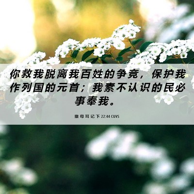 Picture 06 - 撒 母 耳 记 下 22:44 CUVS - 你 救 我 脱 离 我 百 姓 的 争 竞 ， - Bible Verse Picture