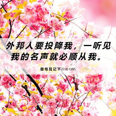 Picture 06 - 撒 母 耳 记 下 22:45 CUVS - 外 邦 人 要 投 降 我 ， 一 听 见 我 - Bible Verse Picture