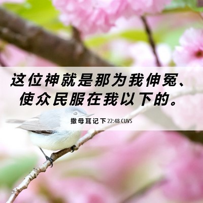 Picture 06 - 撒 母 耳 记 下 22:48 CUVS - 这 位 神 就 是 那 为 我 伸 冤 、 使 - Bible Verse Picture