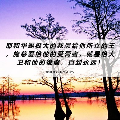 Picture 06 - 撒 母 耳 记 下 22:51 CUVS - 耶 和 华 赐 极 大 的 救 恩 给 他 所 - Bible Verse Picture