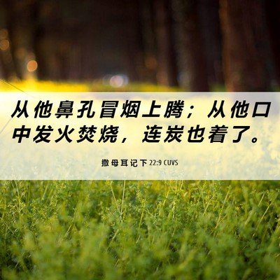Picture 06 - 撒 母 耳 记 下 22:9 CUVS - 从 他 鼻 孔 冒 烟 上 腾 ； 从 他 口 - Bible Verse Picture